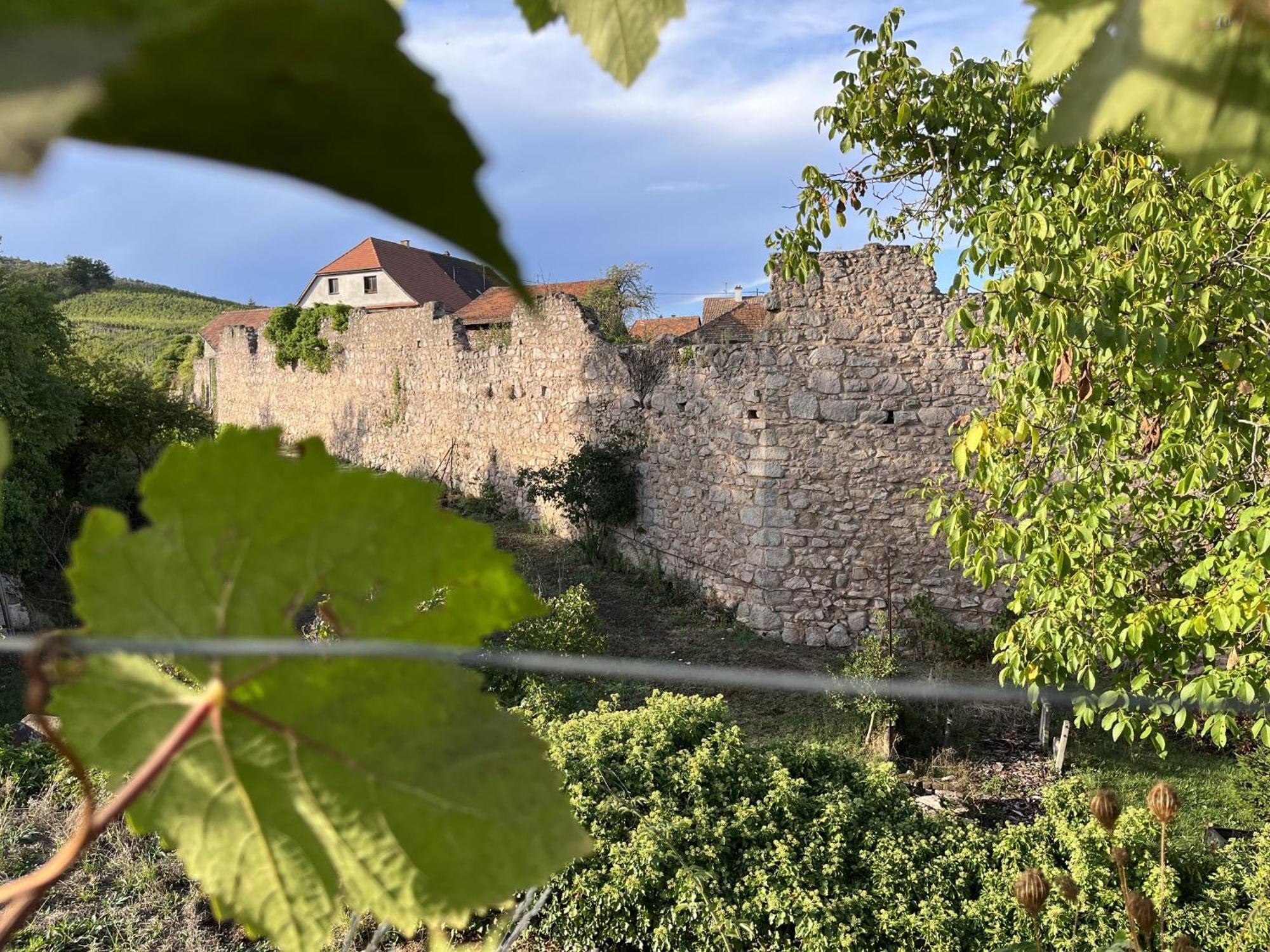 Le Refuge Du Rempart Hotel Dambach Szoba fotó