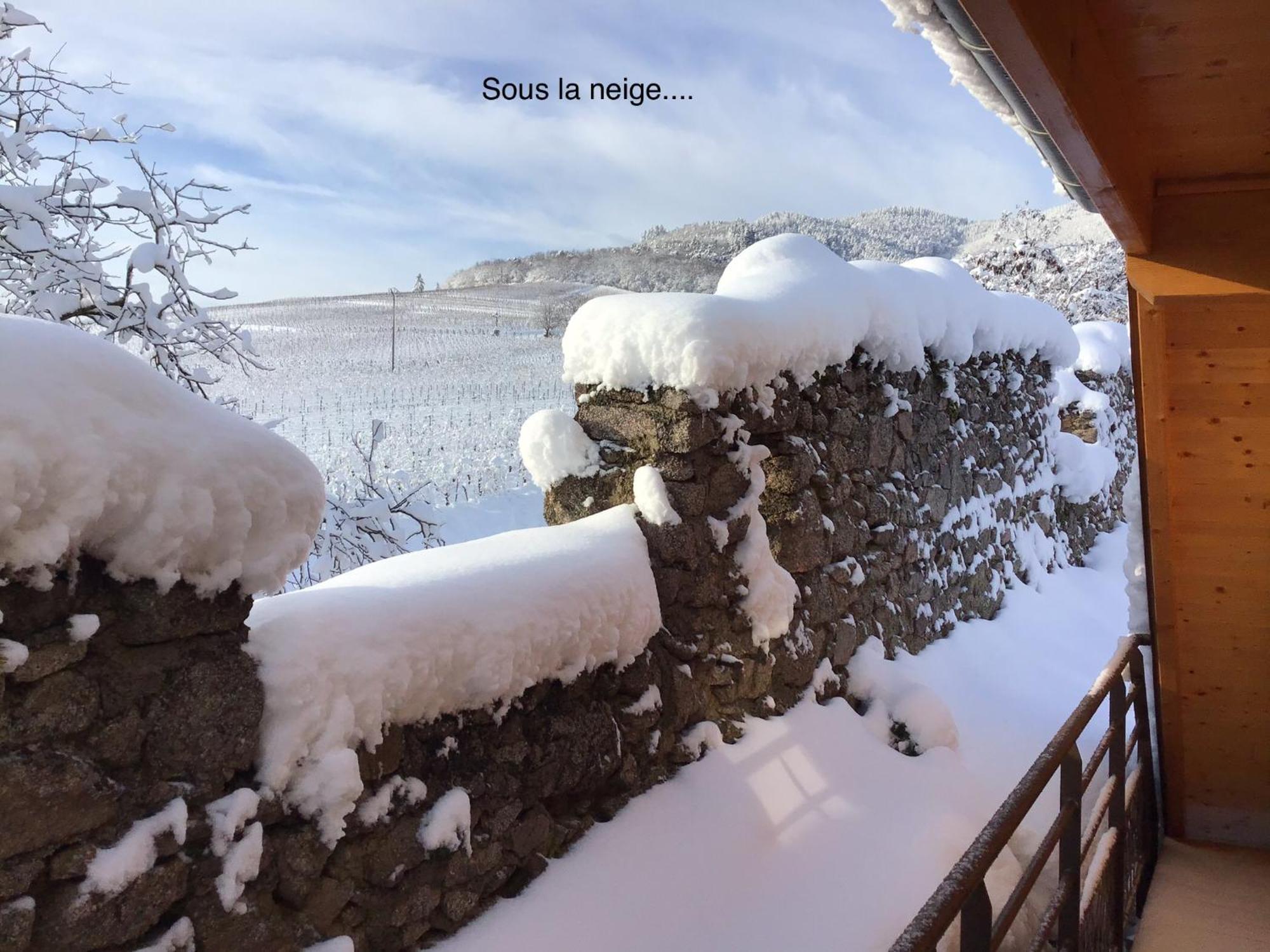 Le Refuge Du Rempart Hotel Dambach Szoba fotó